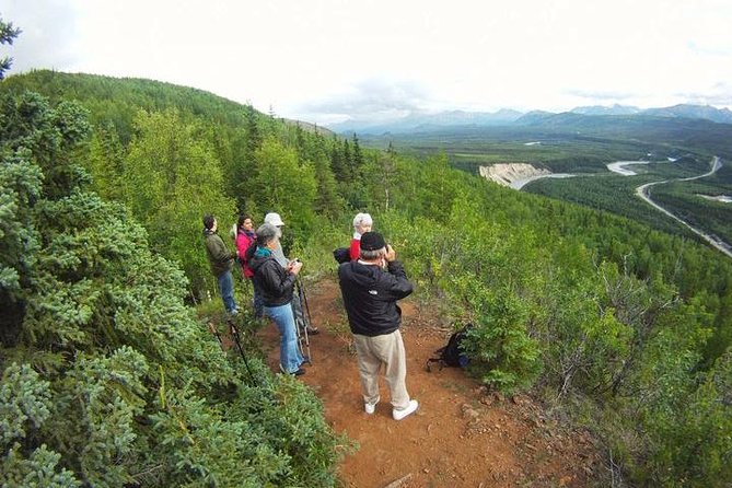 Denali 5 Hour Hiking Tour with Naturalist Guide - Key points to know before you book