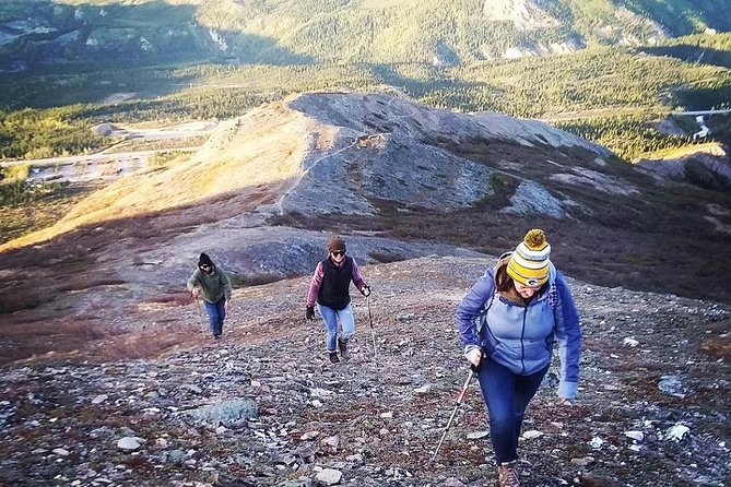 Denali 5 Hour Hiking Tour with Naturalist Guide - What this five-hour Denali hike is really like