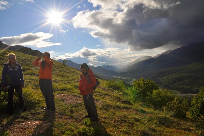 Denali 5 Hour Hiking Tour with Naturalist Guide - Guides who make the walking worthwhile