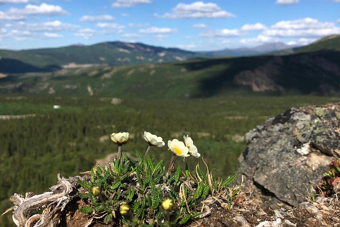 Denali 5 Hour Hiking Tour with Naturalist Guide - Fitness, gear, and weather