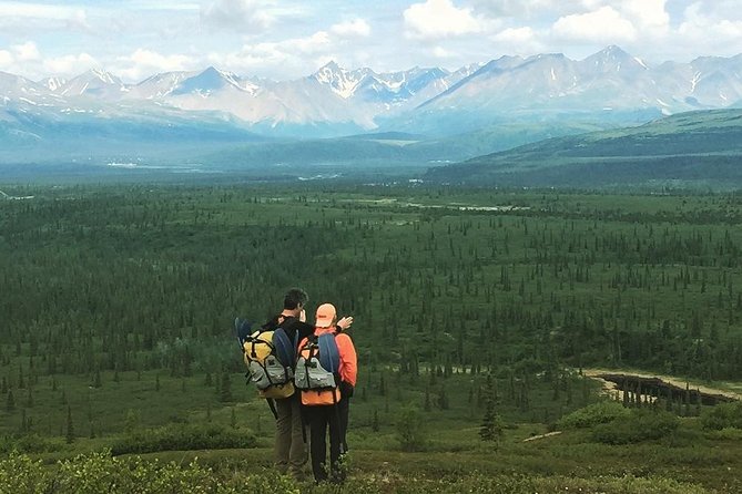 Denali 5 Hour Hiking Tour with Naturalist Guide - From the Nenana River forest to the taiga