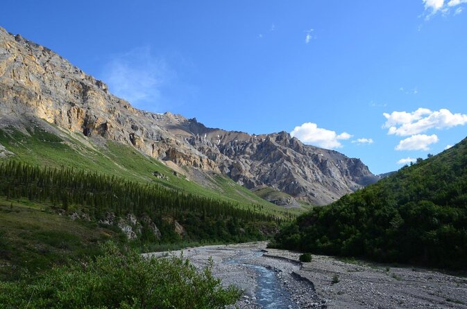 Denali Alaska Range 5hr Mountain Hike w/Views & Naturalist Guide - Starting at the hotel and reaching the trail