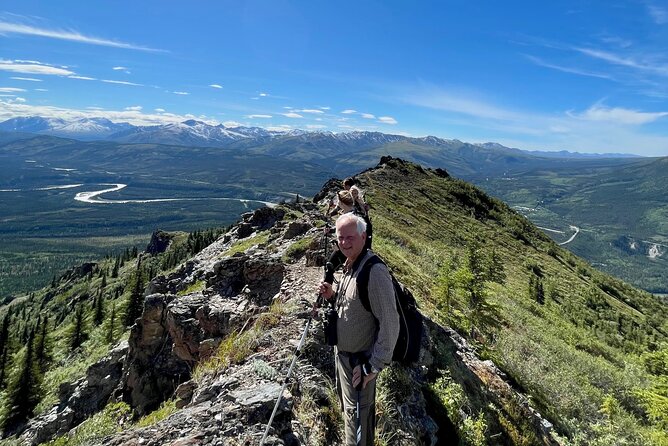 Denali Alaska Range 5hr Mountain Hike w/Views & Naturalist Guide - Above the treeline, where the views pay off
