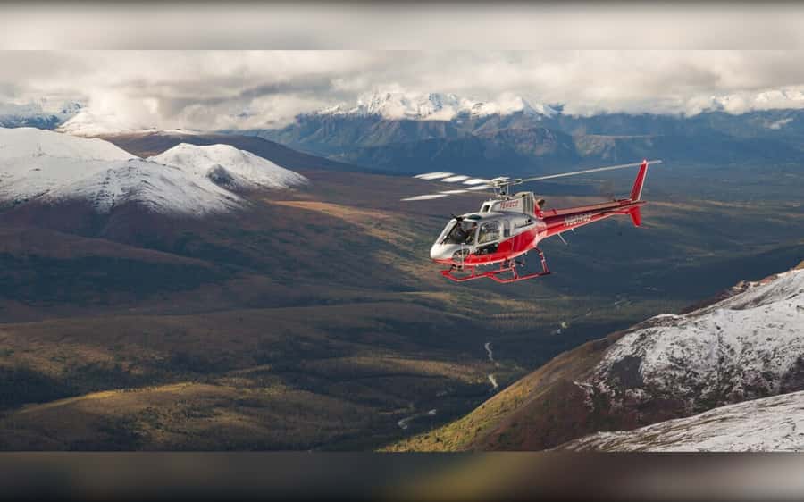 Denali National Park: Helicopter and Hike Adventure - Why this Denali flight-and-hike combination works
