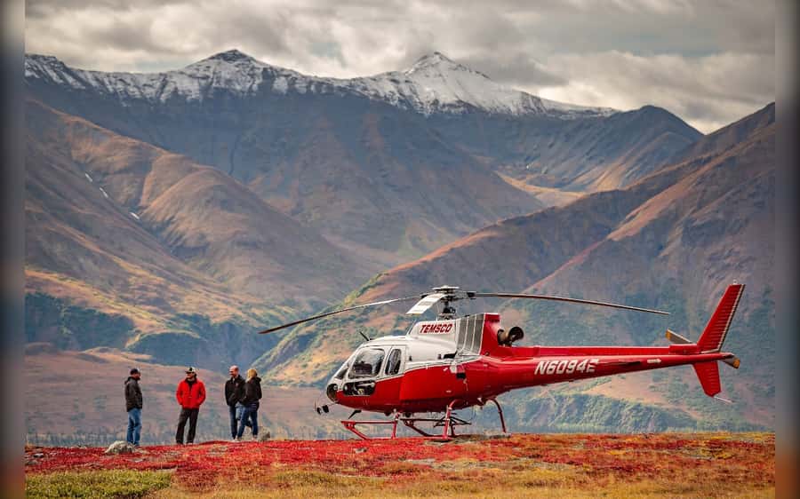 Denali National Park: Helicopter and Hike Adventure - Seeing Denali from the air