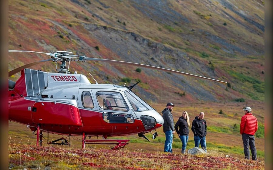 Denali National Park: Helicopter and Hike Adventure - Wildlife watching without a promise of sightings