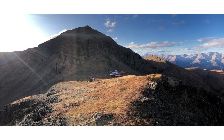 Denali National Park: Helicopter and Hike Adventure - Booking details worth checking