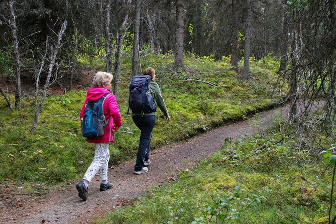 Denali Nature Hike - Is $125 a fair price?