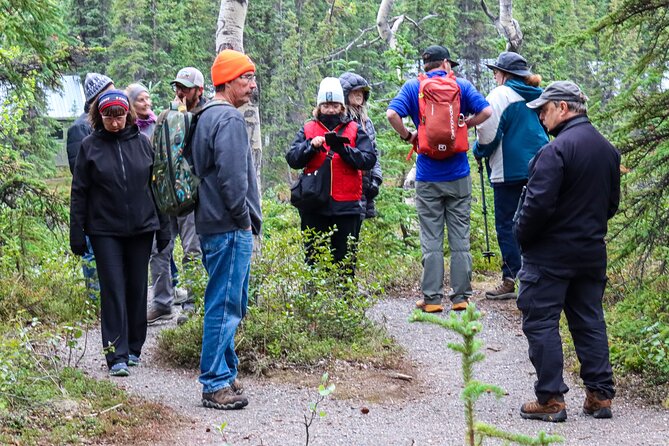 Denali Nature Hike - What the four named stops mean