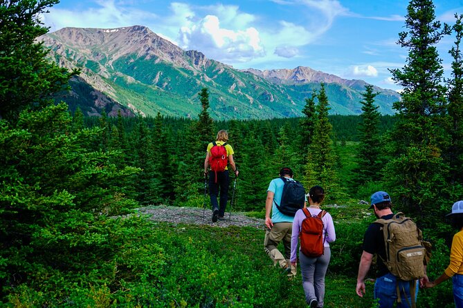 Denali Off-Trail Hiking Adventure (4 Hours) w/Expert Naturalist - Wildlife signs rather than guaranteed sightings