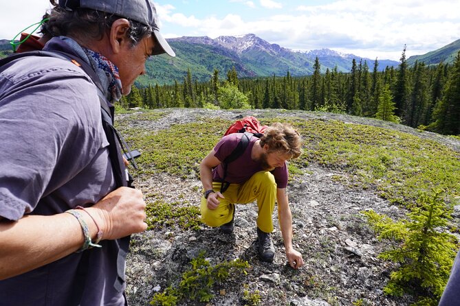 Denali Off-Trail Hiking Adventure (4 Hours) w/Expert Naturalist - The human story behind Denali’s woods