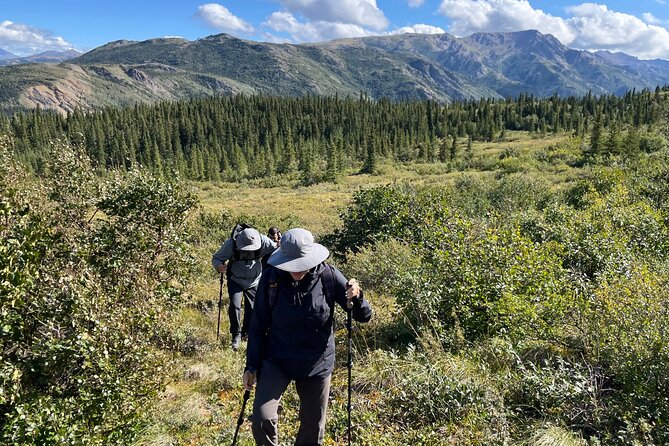 Denali Off-Trail Hiking Adventure (4 Hours) w/Expert Naturalist - What guides add to the outing