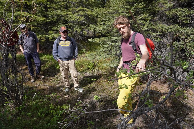 Denali Off-Trail Hiking Adventure (4 Hours) w/Expert Naturalist - Timing, pickup, and the value of four hours