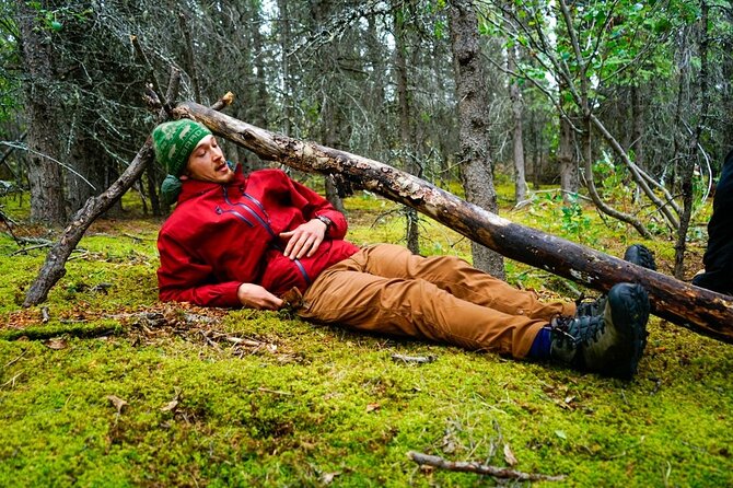 Denali Primitive Survival - 4hr Easy Hiking & Survival Workshop - Foraging for berries and learning what to avoid