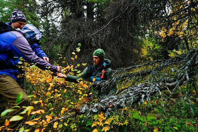 Denali Primitive Survival - 4hr Easy Hiking & Survival Workshop - Choosing a shelter site in the Denali woods