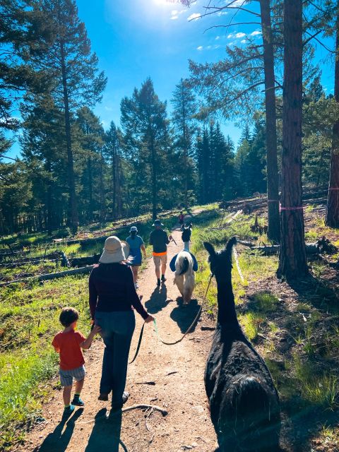 Denver: Llama Hike in the Rocky Mountains - Meeting Elvis and Tribby at Flying J Ranch Park
