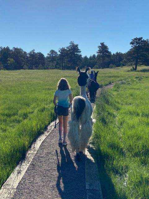 Denver: Llama Hike in the Rocky Mountains - Why the private group matters
