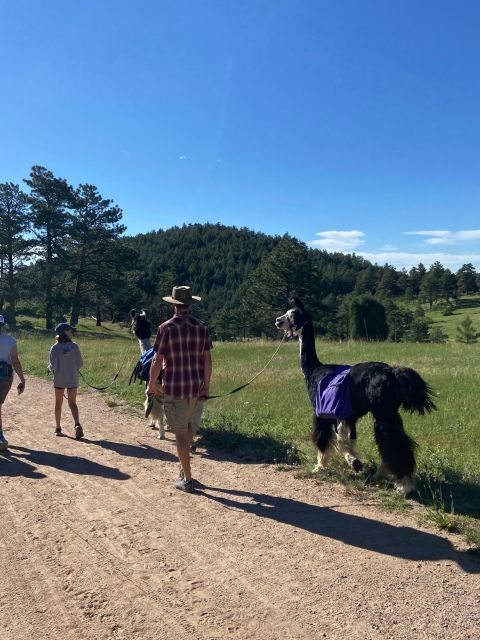 Denver: Llama Hike in the Rocky Mountains - What the guides add to the walk