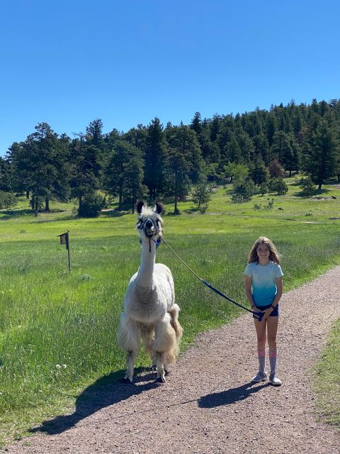 Denver: Llama Hike in the Rocky Mountains - The physical side: easy does not mean effortless