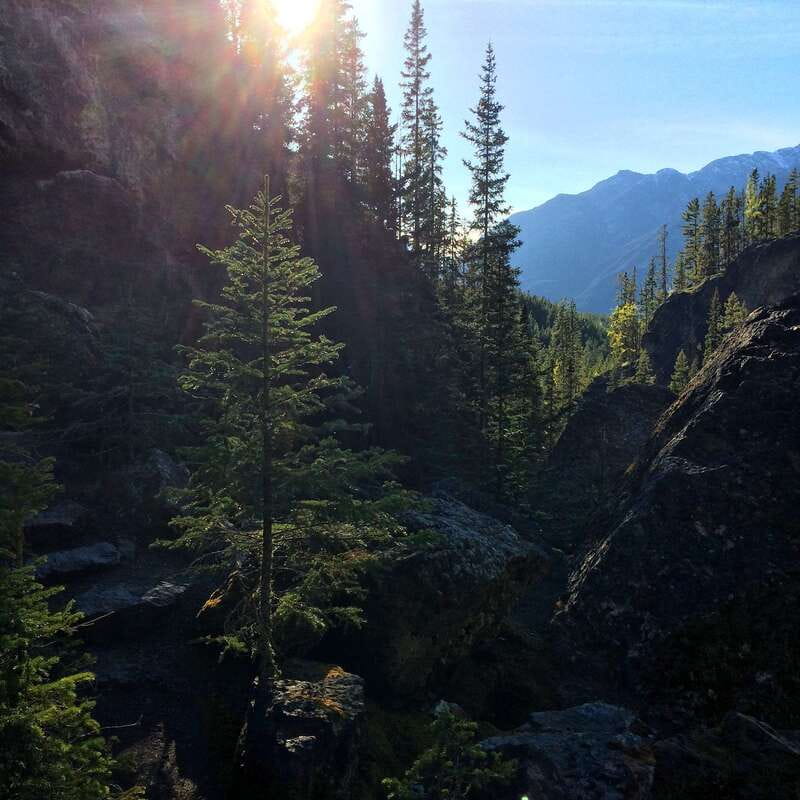 Discover Ancient Pictographs - Guided Canyon Hiking Tour 3H - Walking through the Canadian Rockies canyon