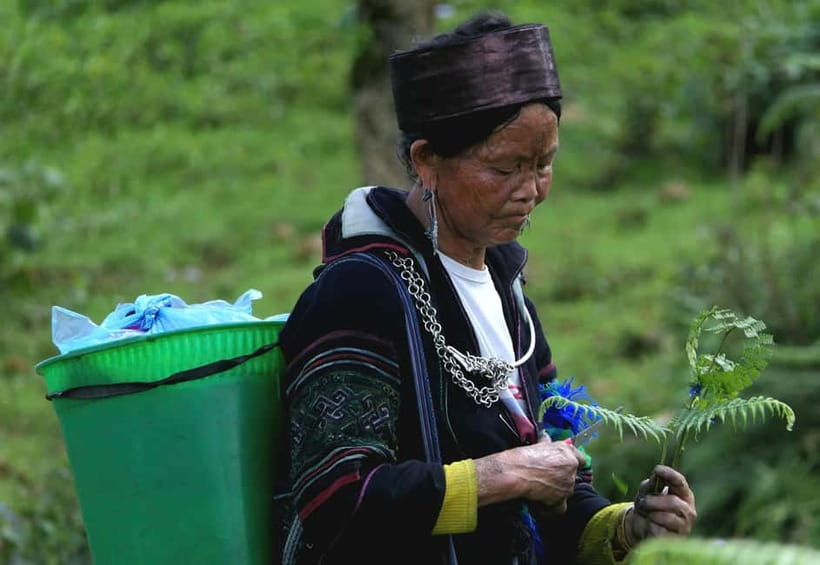 Discover Sapa: 2D1N Trekking Adventure & Cozy LaLa Homestay - Day Two Through Terrace Rice Fields