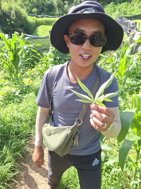 Discover Sapa: 2D1N Trekking Adventure & Cozy LaLa Homestay - Giang Ta Chai, the Mường Hoa River, and the Waterfall