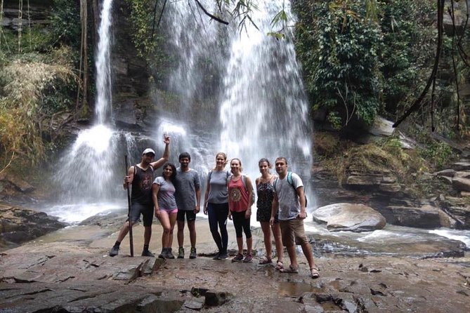 Doi Inthanon Day Trip:Twin Pagodas,Soft Hiking,Coffee Plantation - Wachirathan Falls and the sound of moving water