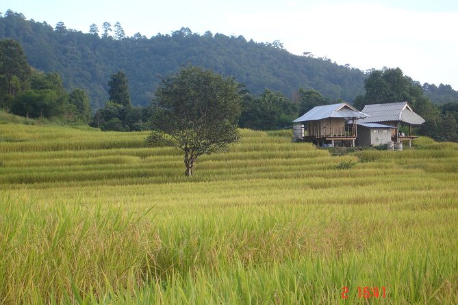 Doi Inthanon National park and 2 hours hiking with private tour - A private start with room to adjust the day