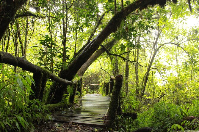Doi Inthanon National park and 2 hours hiking with private tour - The 20-minute Ang Ka Nature Trail at 8,415 feet