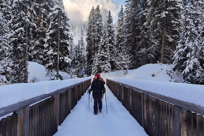 Dolomites of Bolzano Winter Hiking & Sledding Experience - Key points at a glance
