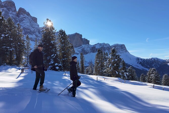 Dolomites of Bolzano Winter Hiking & Sledding Experience - Leaving Bolzano for the snow