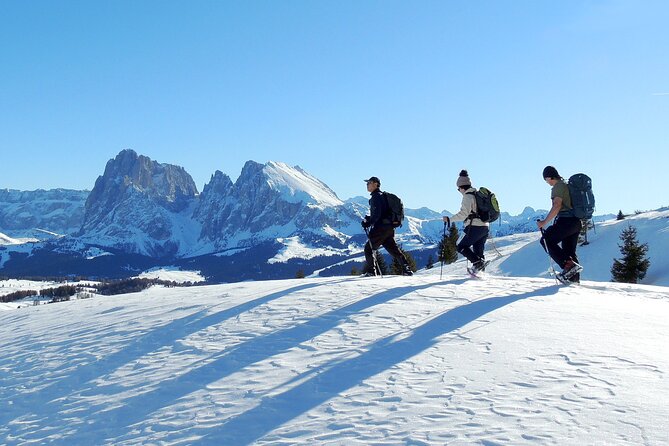 Dolomites of Bolzano Winter Hiking & Sledding Experience - Lunch at a mountain hut