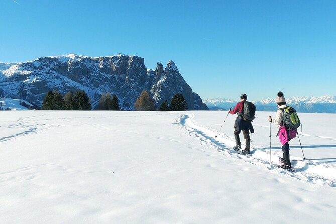 Dolomites of Bolzano Winter Hiking & Sledding Experience - The sled ride adds the fun finish
