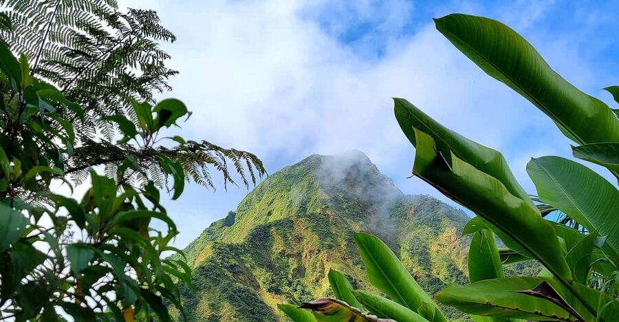 Dominica: Hiking tour to the boiling lake! - Seeing the Boiling Lake up close