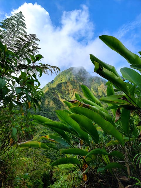 Dominica: Hiking tour to the boiling lake! - Titou Gorge adds a cool finish
