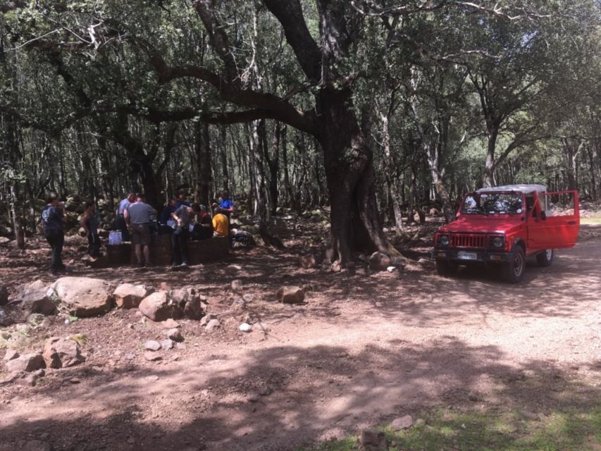 Dorgali: Supramonte Full-day Jeep Off-Roading & Hiking Tour - The guide and language question