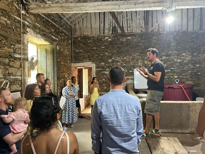 Douro valley: 10 km hike in the Valley - Who should book this hike