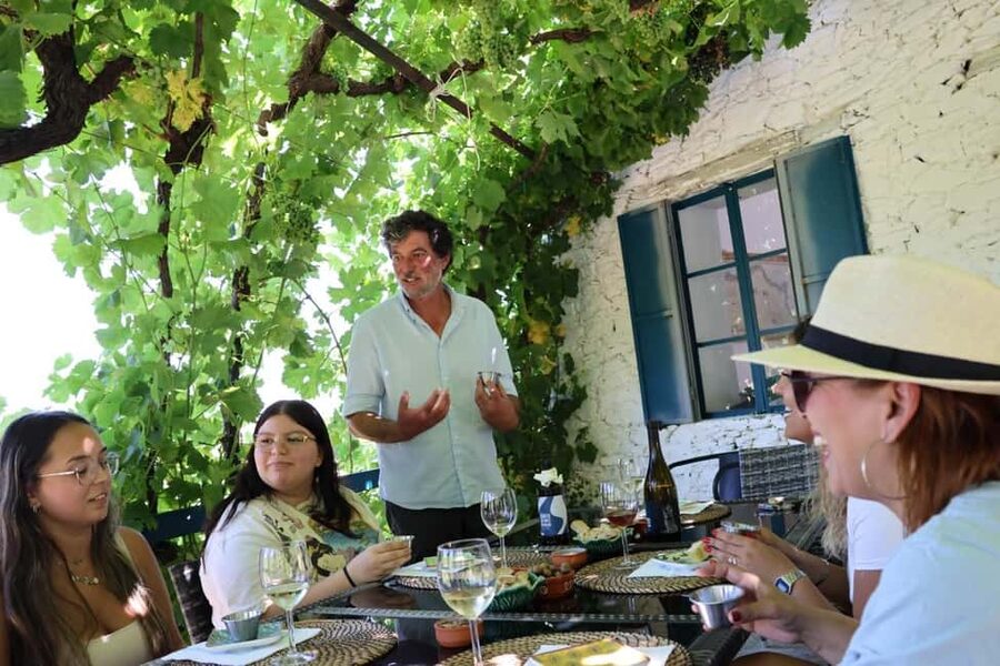 Douro valley: 10 km hike in the Valley - Starting on foot in Vale de Mendiz