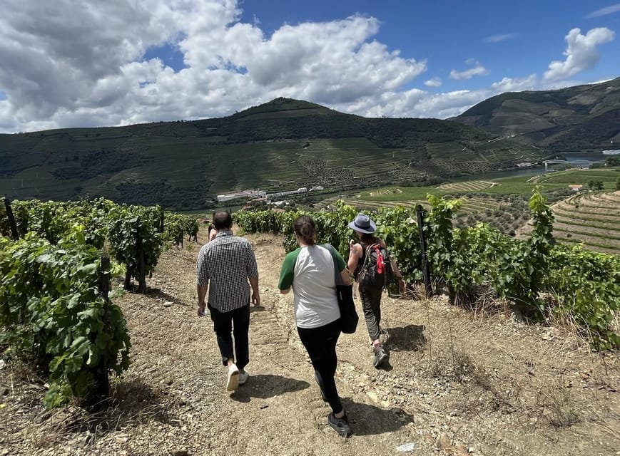 Douro valley: 10 km hike in the Valley - Reaching Pinhão after the walk