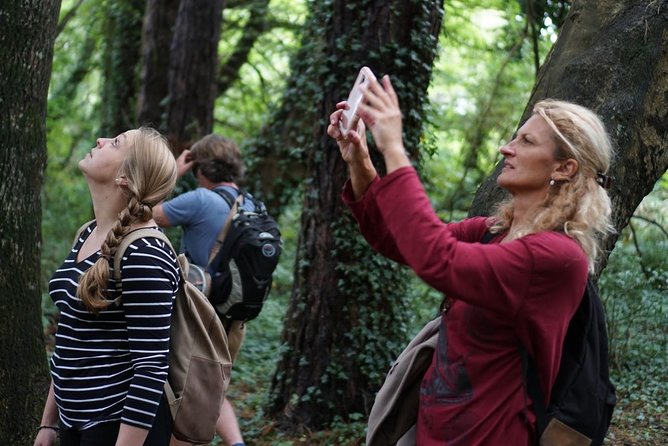 Dublin Coastal Hike with Howth Adventures - Why Howth makes such a good half-day outing