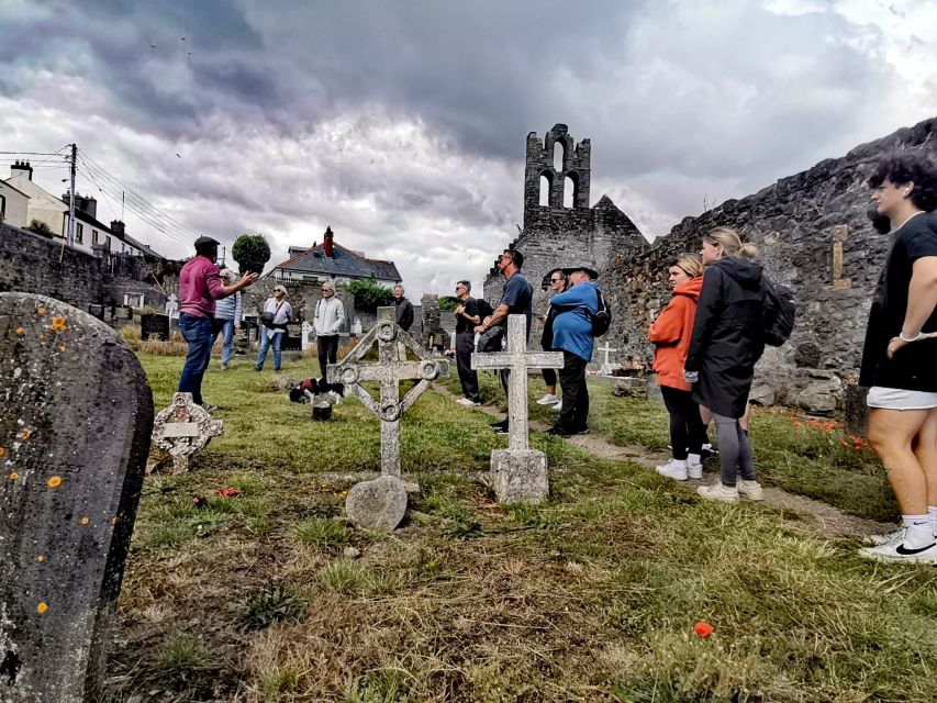 Dublin: Dublin Coastal Hike and Pints & Puppies - Who should book this experience