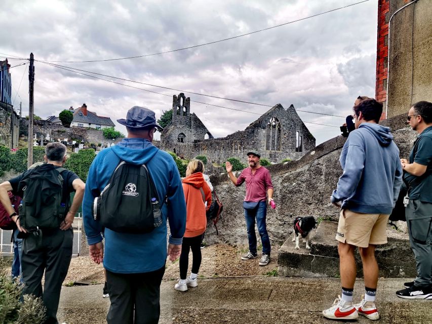 Dublin: Dublin Coastal Hike and Pints & Puppies - A 700-year-old castle and St. Mary’s Abbey