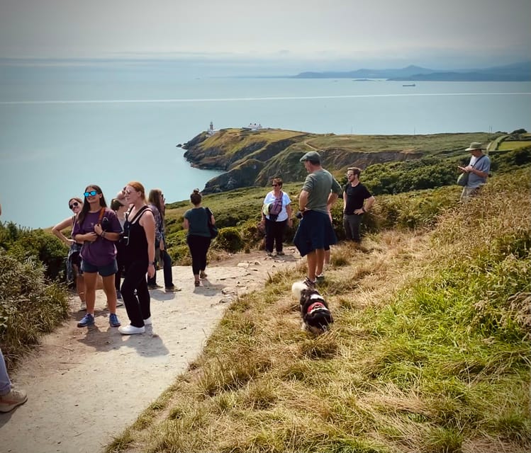 Dublin: Dublin Coastal Hike and Pints & Puppies - The dog factor: Missy, Tilly, and a friendlier pace