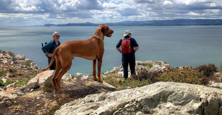 Dublin: Howth Coastal Hiking Tour - Key points at a glance