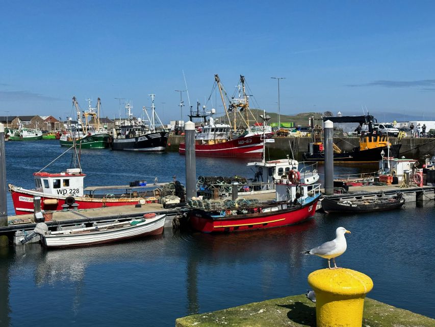 Dublin: Howth Coastal Hiking Tour - Heathlands, flowers, and less-used trails