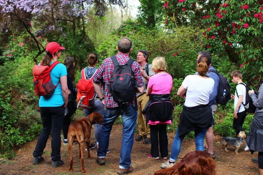 Dublin: Howth Coastal Hiking Tour - Is $44 good value?