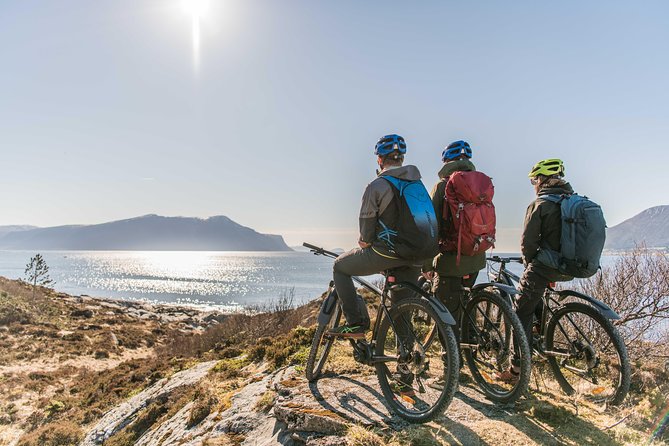 E-bike And Hiking Tour In Ålesund - The forest path up Sugar Top