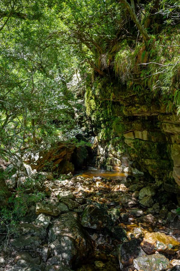 E-Bike & Hike Jonkershoek - What $92 buys you