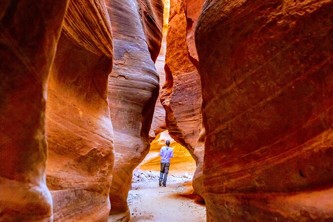 East Zion Crimson Canyon Hike & UTV Adventure - Water, rain, and the value of a flexible guide