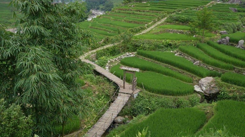 Easy Trek in Sapa mountain : Y Linh Ho - Lao Chai - Ta Van - Key points at a glance